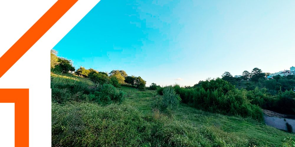 350 mil Centro - Copia
