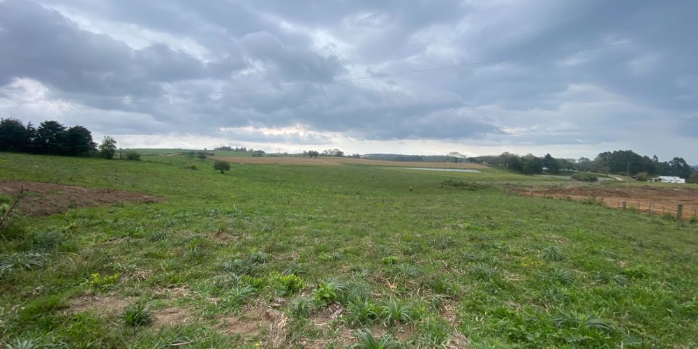 Imagem do WhatsApp de 2023-10-30 à(s) 15.12.03_d1a5c226