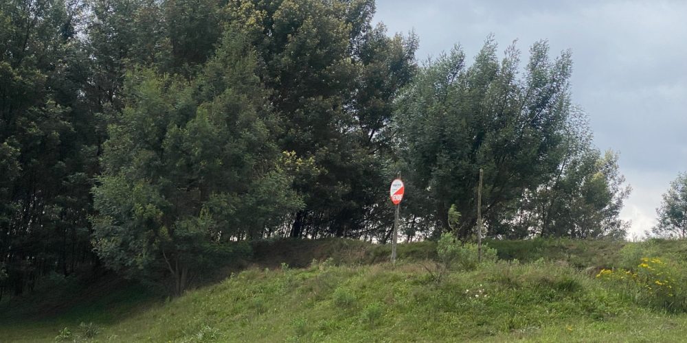 Imagem do WhatsApp de 2023-10-30 à(s) 15.12.04_f14f416c