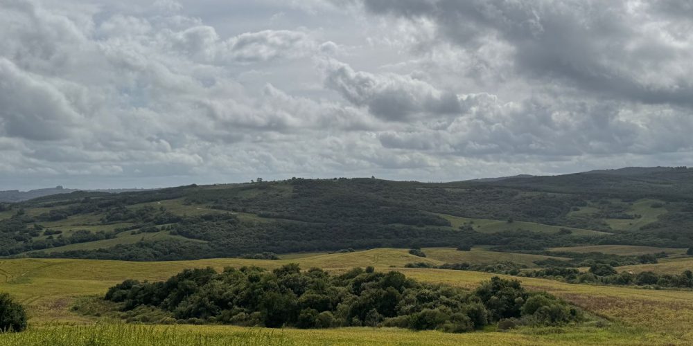 Imagem do WhatsApp de 2024-03-18 à(s) 11.30.51_2f85dea3