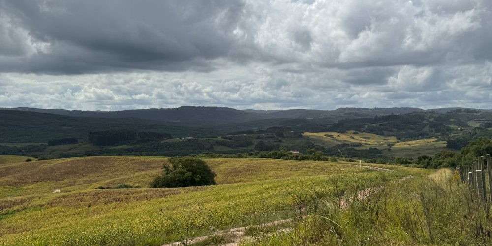 Imagem do WhatsApp de 2024-03-18 à(s) 11.30.52_00f024af