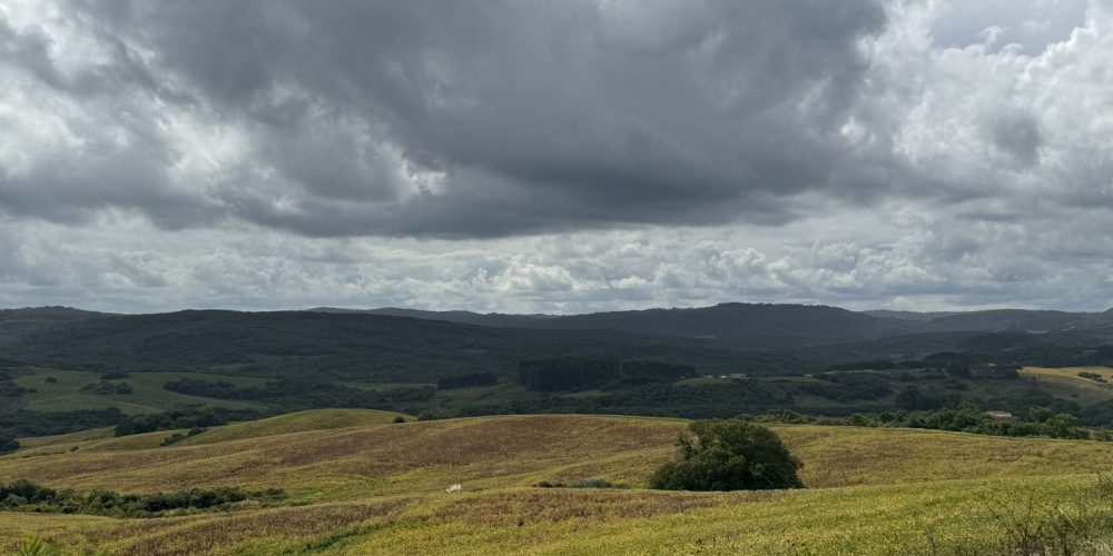 Imagem do WhatsApp de 2024-03-18 à(s) 11.30.52_9a031ea8