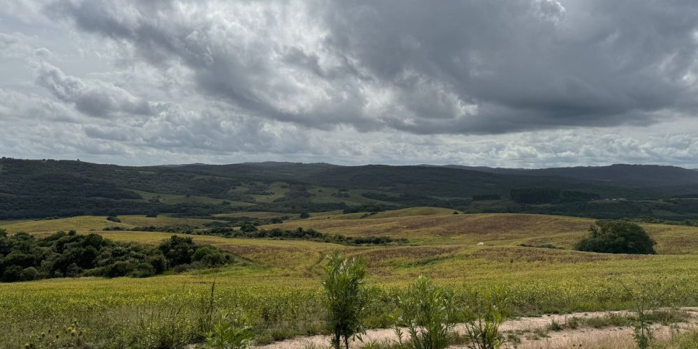 Imagem do WhatsApp de 2024-03-18 à(s) 11.30.53_3f5e5aea