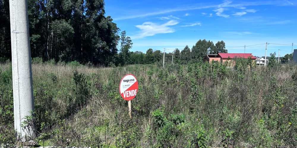 WhatsApp Image 2023-09-06 at 07.59.30 (2)