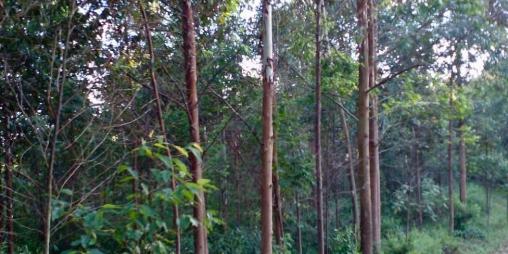 WhatsApp Image 2025-02-11 at 15.48.50-2