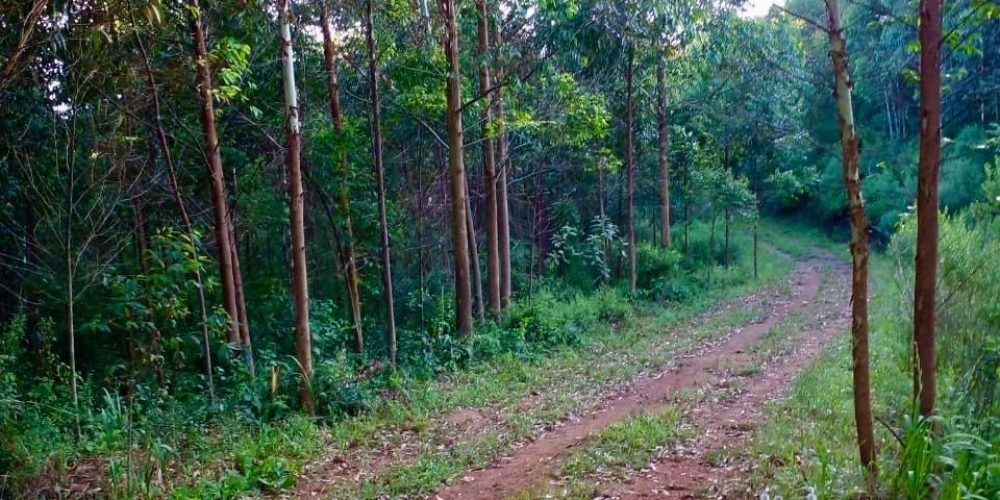 WhatsApp Image 2025-02-11 at 15.48.50-4