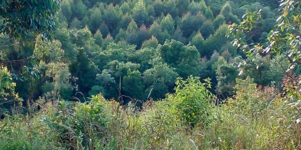 WhatsApp Image 2025-02-11 at 15.48.50-5