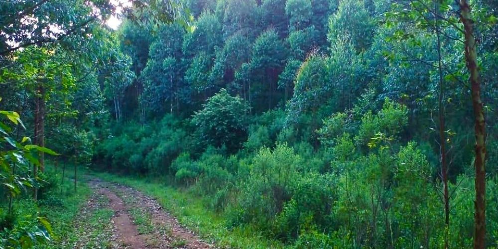 WhatsApp Image 2025-02-11 at 15.48.50