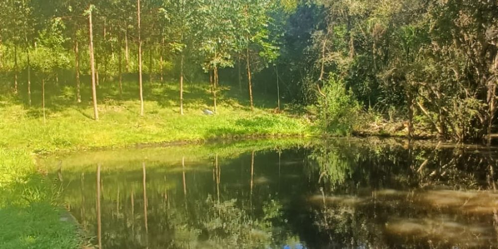 WhatsApp Image 2025-02-11 at 15.52.13