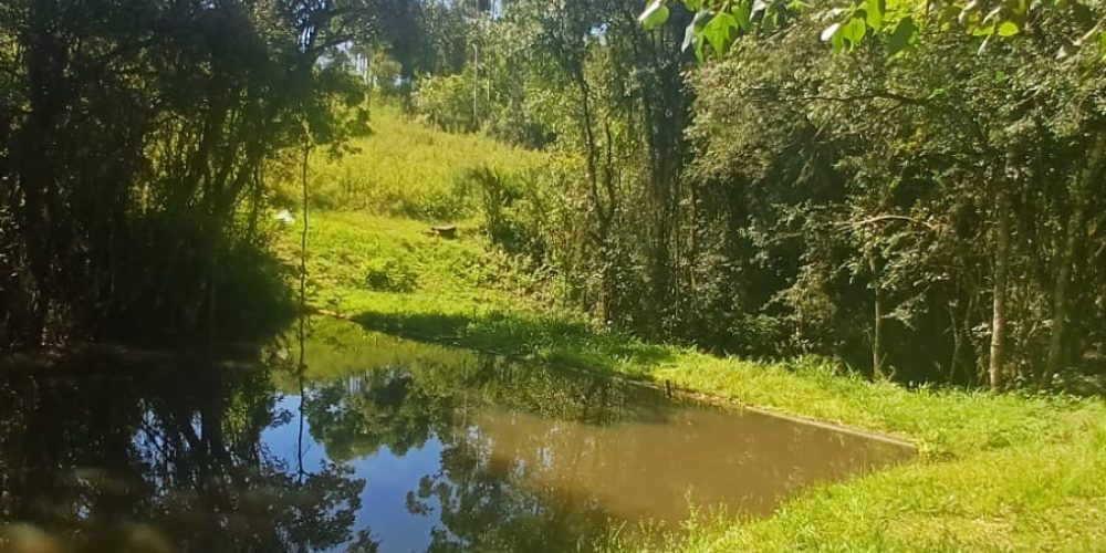 WhatsApp Image 2025-02-11 at 15.52.14-3