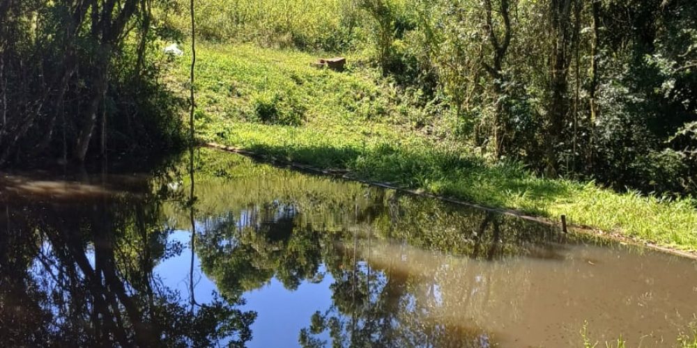 WhatsApp Image 2025-02-11 at 15.52.14-4