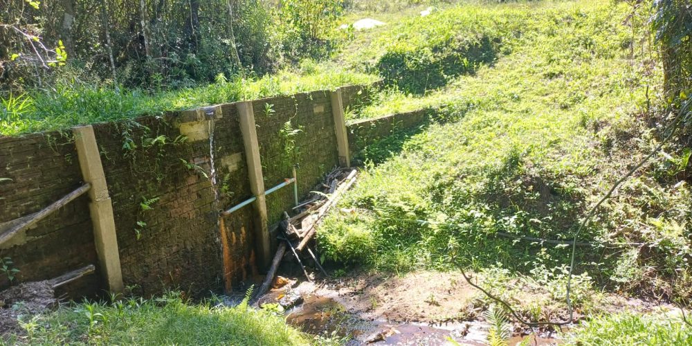 WhatsApp Image 2025-02-11 at 15.52.14