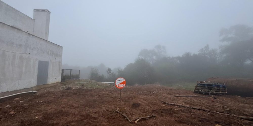 WhatsApp Image 2025-07-09 at 11.08.54