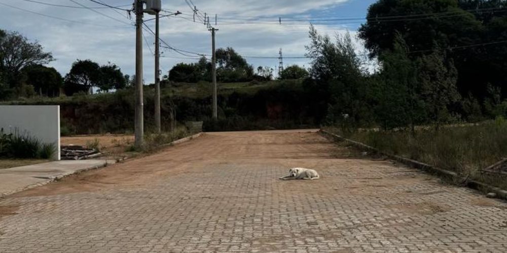 WhatsApp Image 2025-08-01 at 17.25.00-2