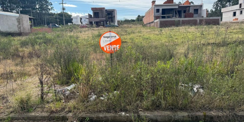 WhatsApp Image 2025-08-01 at 17.25.00