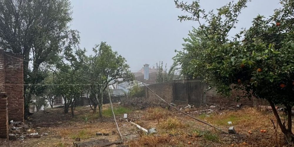 WhatsApp Image 2025-09-30 at 10.12.08-3