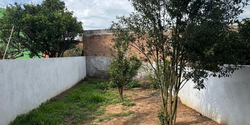 WhatsApp Image 2025-11-05 at 08.37.11