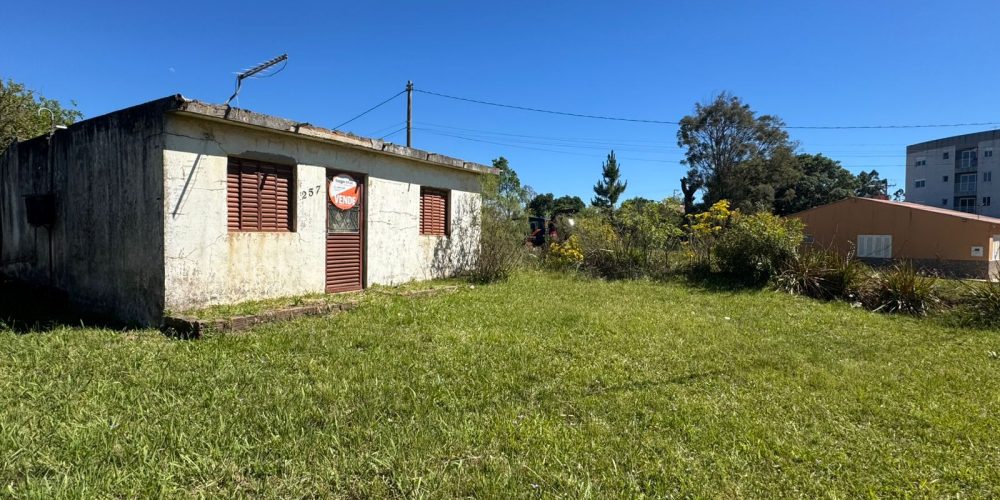 WhatsApp Image 2025-11-11 at 09.44.39