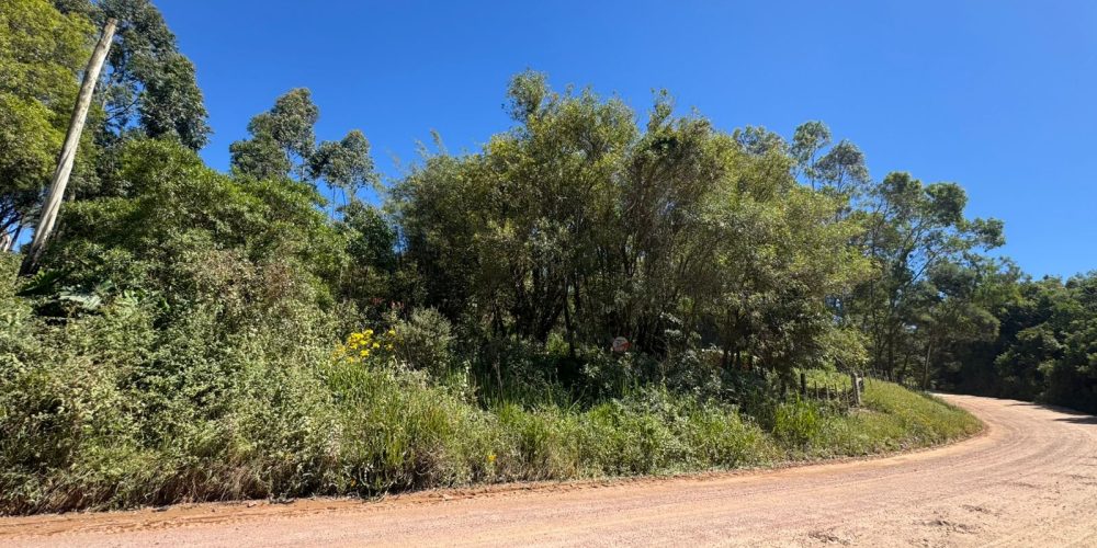 WhatsApp Image 2025-11-11 at 09.59.48-2