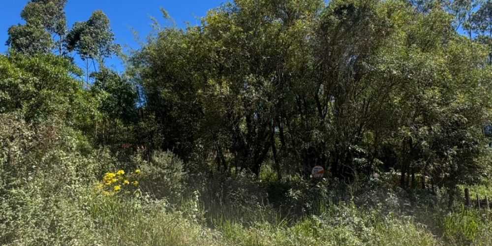 WhatsApp Image 2025-11-11 at 09.59.48