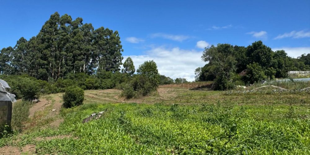 WhatsApp Image 2026-02-25 at 11.23.23-3