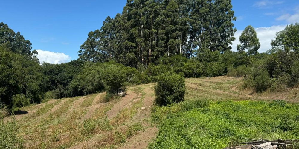 WhatsApp Image 2026-02-25 at 11.23.23-5