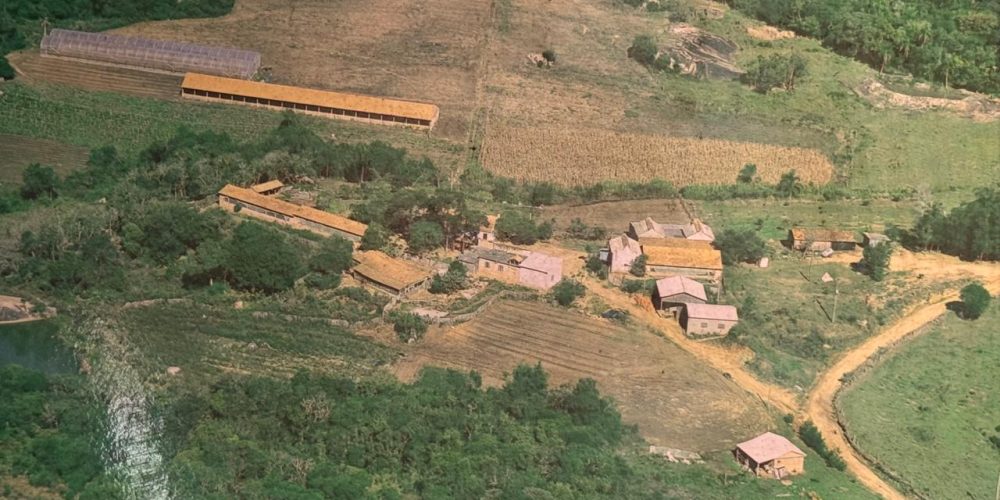 WhatsApp Image 2026-02-25 at 11.23.24-2