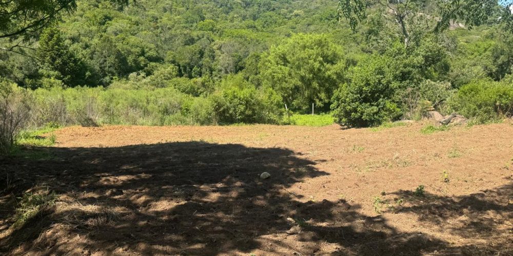 WhatsApp Image 2026-02-25 at 11.23.24