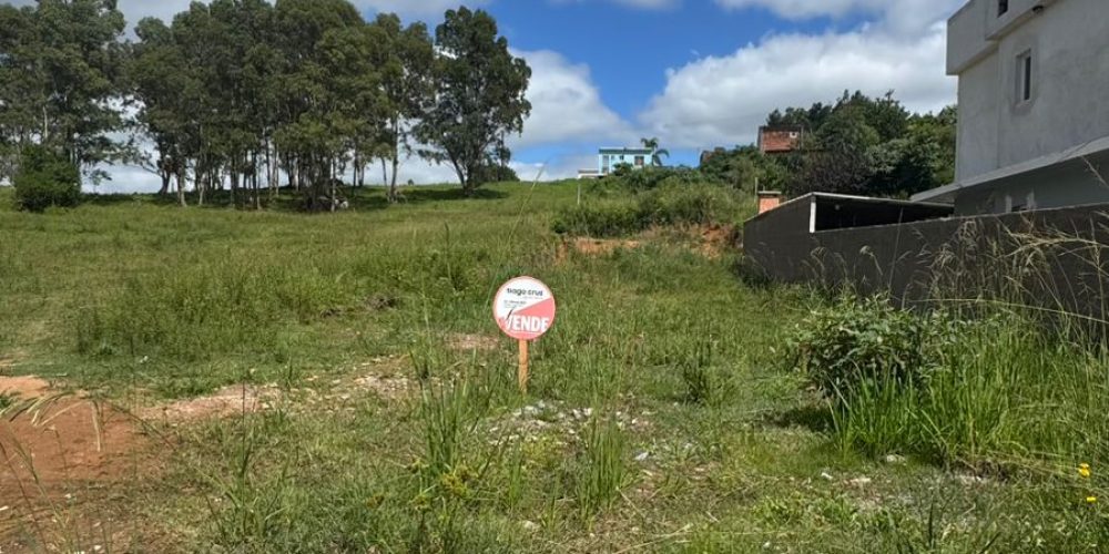 WhatsApp Image 2026-02-26 at 11.24.09-2