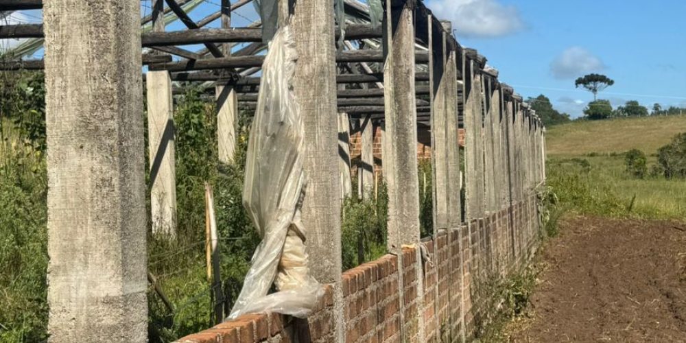 WhatsApp Image 2026-03-03 at 15.51.06-3