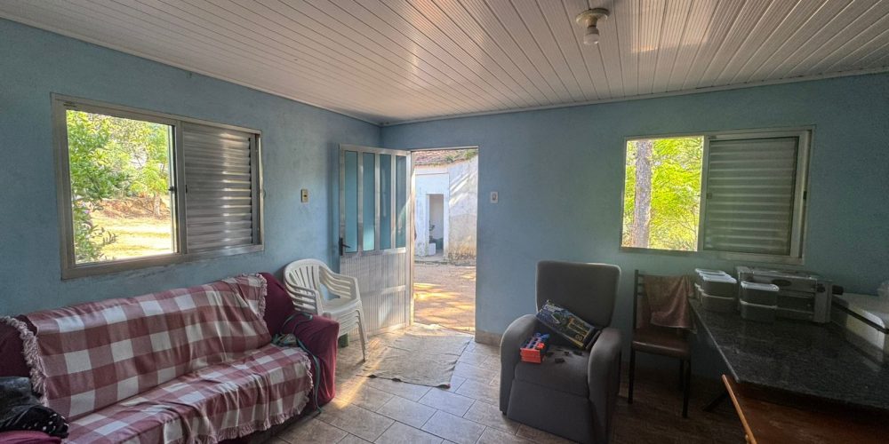 WhatsApp Image 2026-03-03 at 15.51.06-4