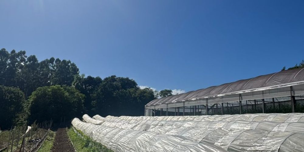 WhatsApp Image 2026-03-03 at 15.51.07-4