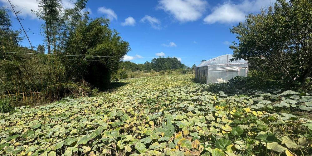 WhatsApp Image 2026-03-03 at 15.51.07