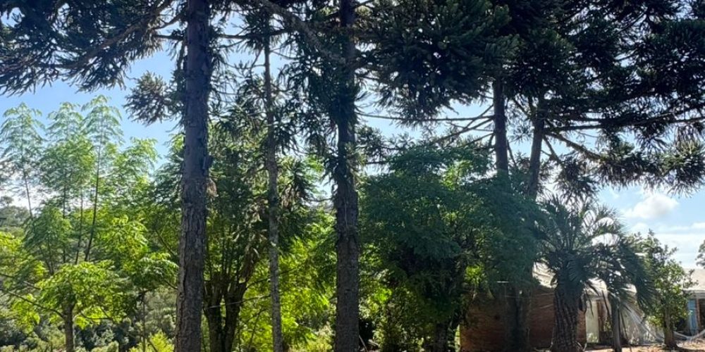 WhatsApp Image 2026-03-03 at 15.51.08-2