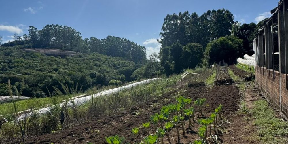 WhatsApp Image 2026-03-03 at 15.51.09-2