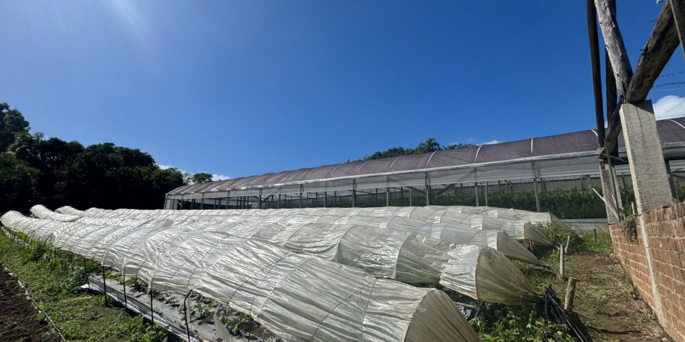 WhatsApp Image 2026-03-03 at 15.51.10-2