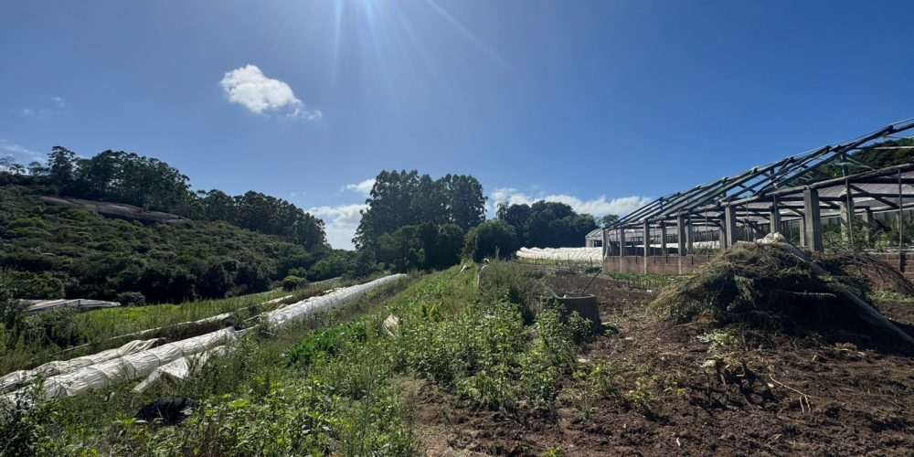 WhatsApp Image 2026-03-03 at 15.51.10-3