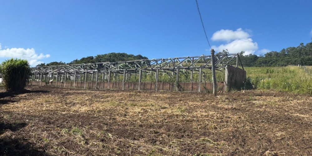 WhatsApp Image 2026-03-03 at 15.51.10