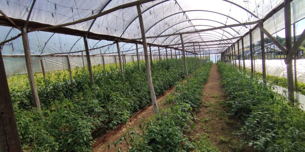 WhatsApp Image 2026-03-03 at 15.58.54