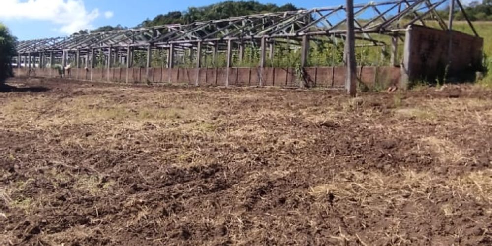 WhatsApp Image 2026-03-03 at 15.58.55-2