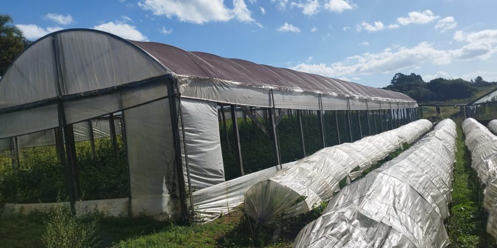 WhatsApp Image 2026-03-03 at 15.58.55