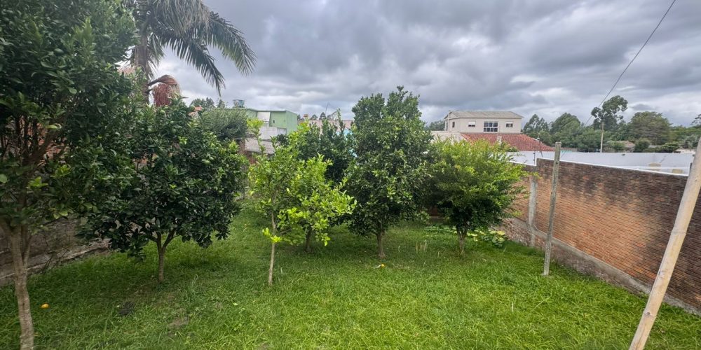 WhatsApp Image 2026-03-05 at 16.53.04