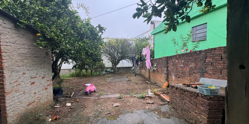 WhatsApp Image 2026-03-11 at 13.30.27-5