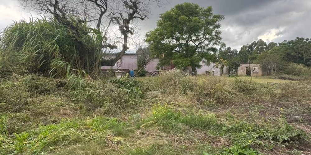 WhatsApp Image 2026-03-12 at 14.58.48-2