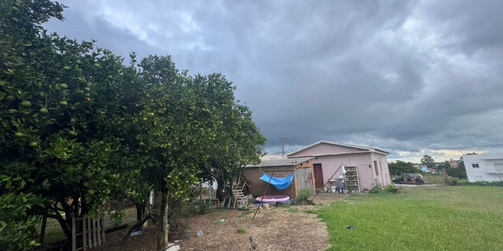 WhatsApp Image 2026-03-12 at 14.58.48-3