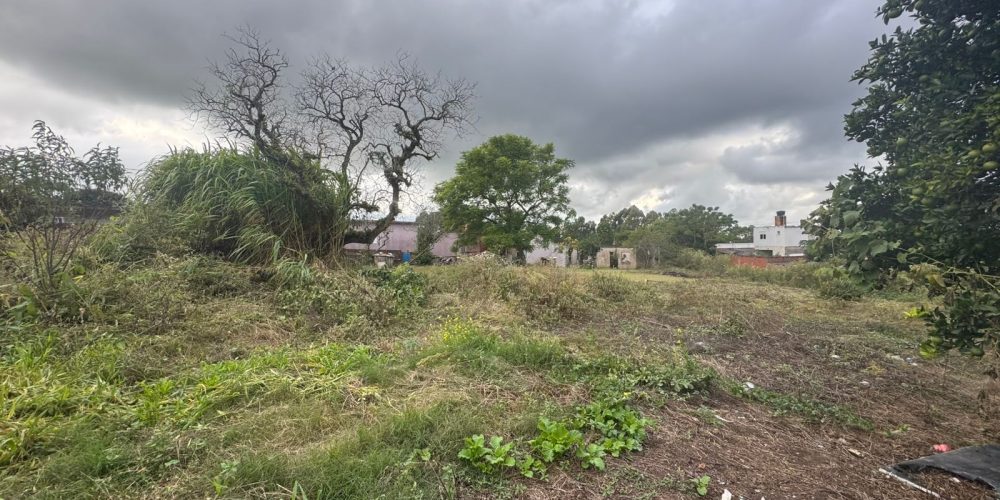 WhatsApp Image 2026-03-12 at 14.58.49