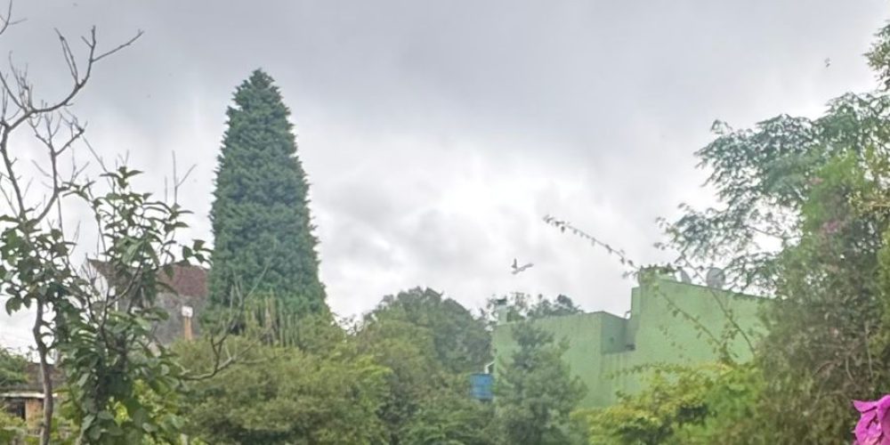 WhatsApp Image 2026-03-30 at 15.28.42-2