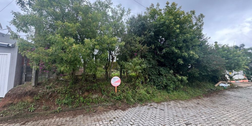 WhatsApp Image 2026-03-30 at 15.28.42-3