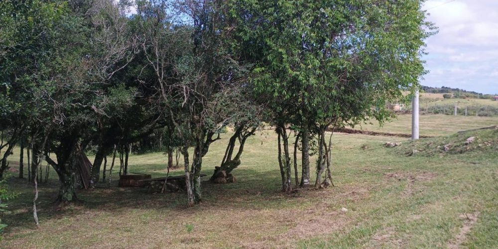 WhatsApp Image 2026-04-01 at 10.35.32-2