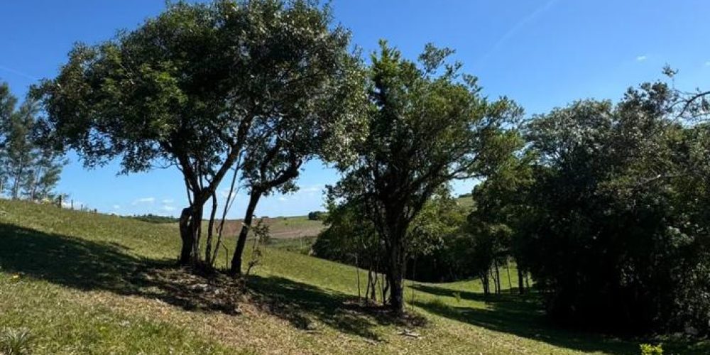 WhatsApp Image 2026-04-01 at 10.35.33-3